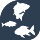 coarse fishing icon