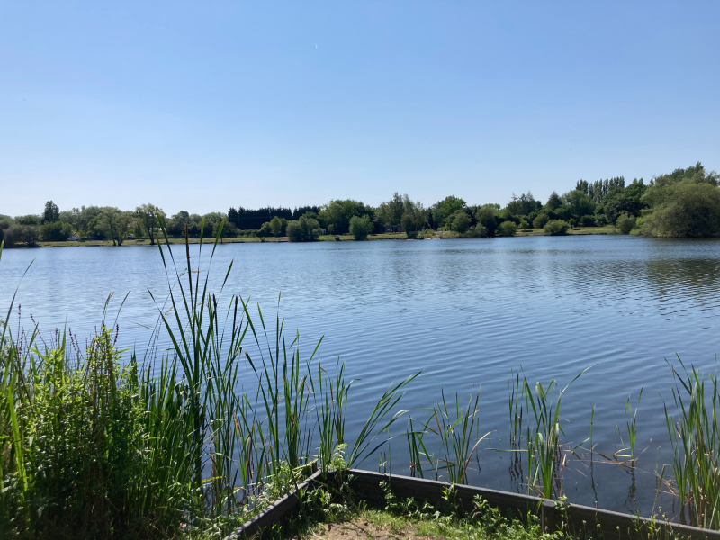 View across the water at Broomy Croft pool