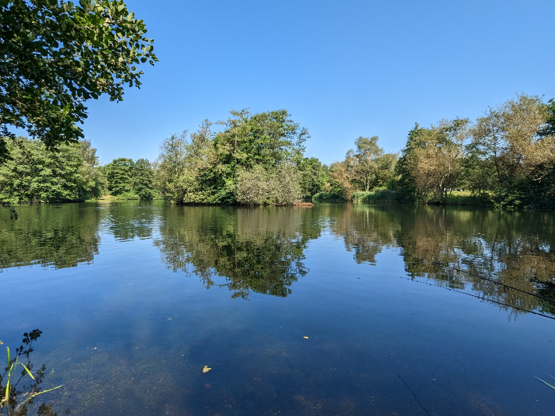 View across Pine Pool
