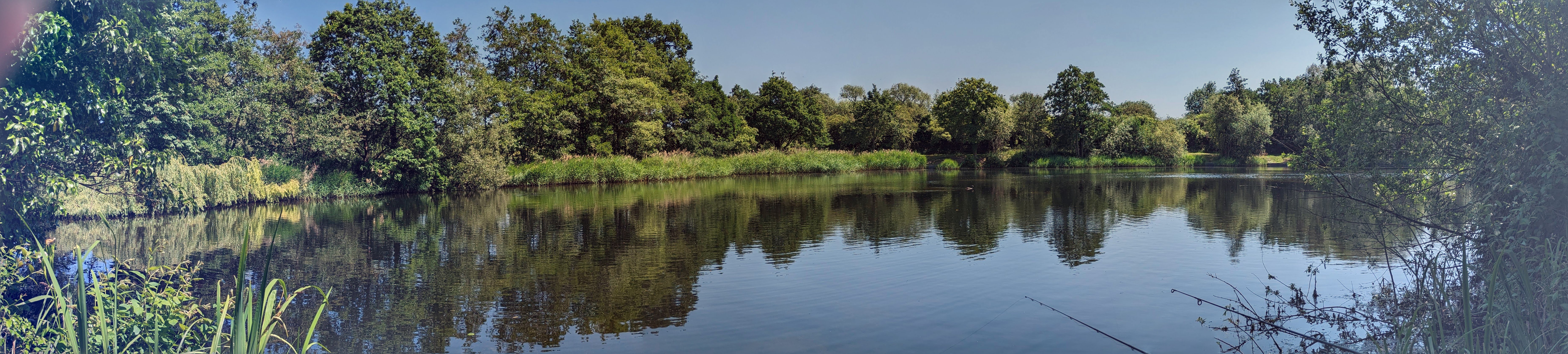 A panoramic view of Pine Pool